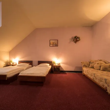 Hotel Aranysas 3*