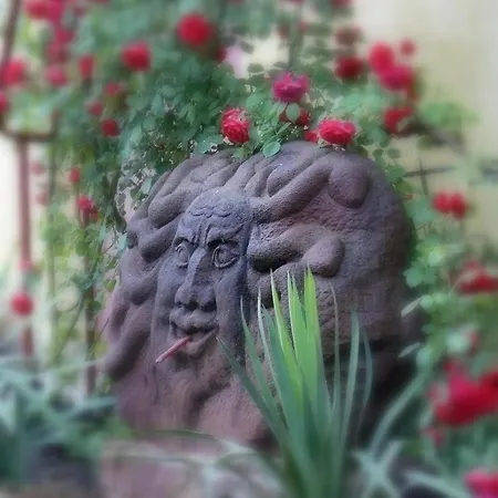 Aranysas Hotel