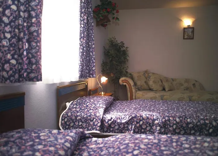 Aranysas 3* Альшоэрш