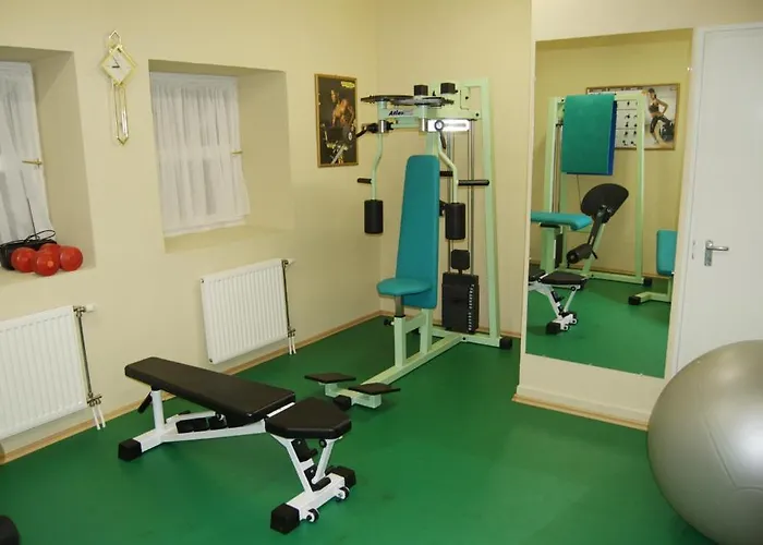 Aranysas Альшоэрш