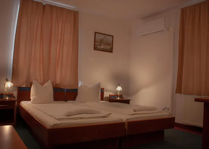 Отель Aranysas 3*