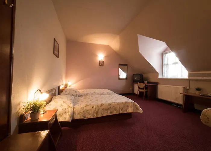 Aranysas 3* Альшоэрш