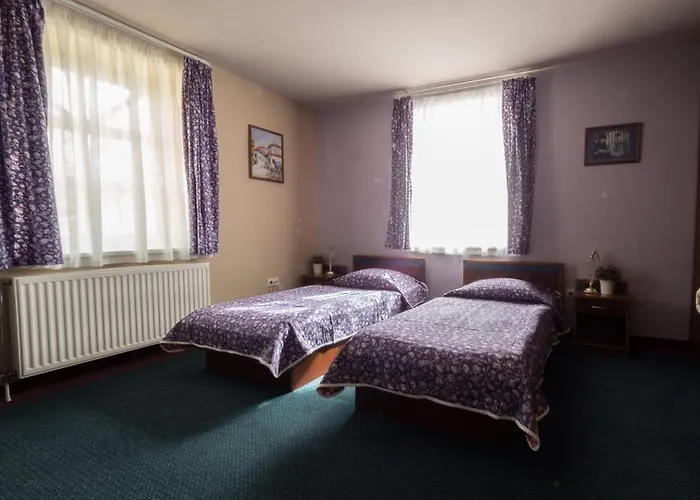 Отель Aranysas 3*