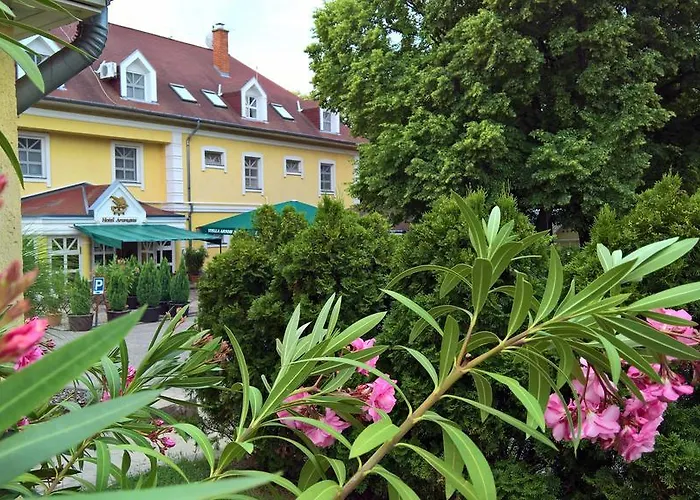 Aranysas Отель Альшоэрш